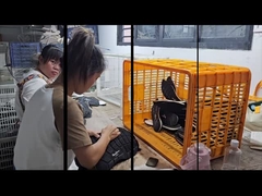 Pabrik Layanan Sepatu Custom